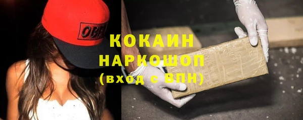 гашик Алексин