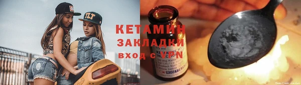гашик Алексин