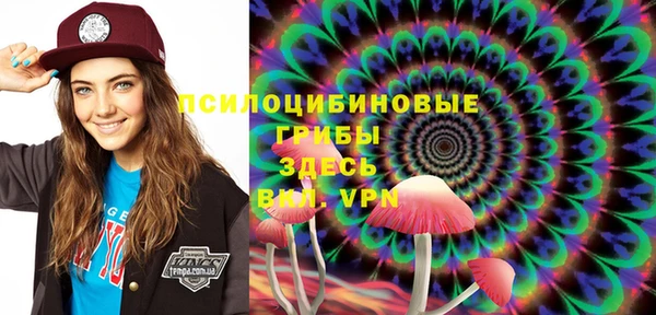 дмт Абаза