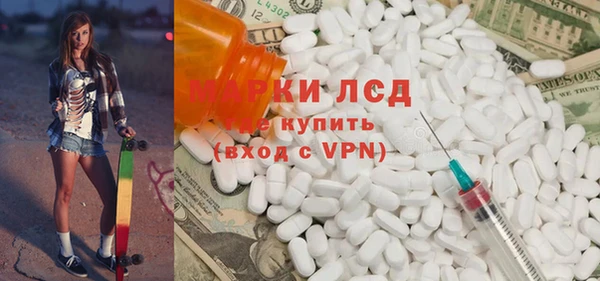 гашик Алексин
