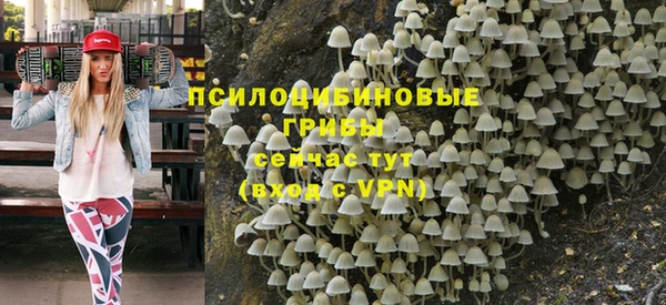 дмт Абаза