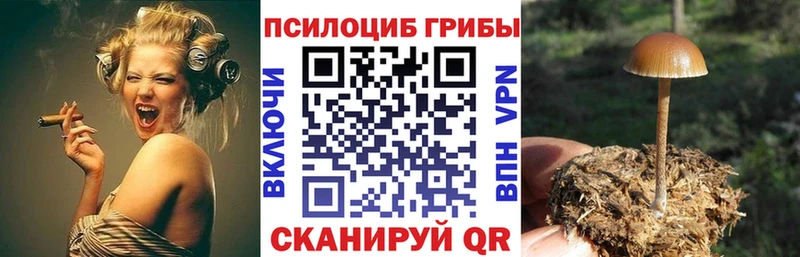 Галлюциногенные грибы мухоморы  Верхоянск 